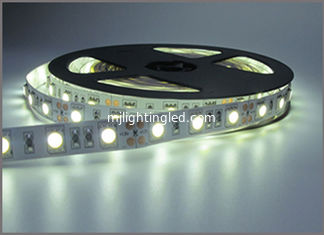 CHINA Cintas LED 5050 SMD 600led no impermeable 5M DC12V Flexible LED de banda 60Leds / M Cuerdas decorativas blancas proveedor