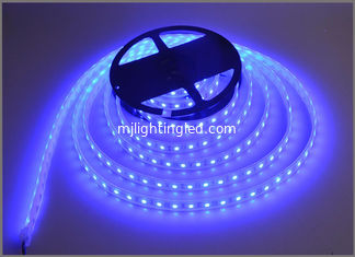 CHINA Decoración constructiva azul de la luz los 60led/m de la secuencia de la cinta de la lámpara de la luz de tiras 12V LED proveedor