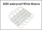 Los módulos impermeables de la lámpara SMD 5050 LED de la luz del módulo del LED para la muestra letra el blanco trasero 3 DC12V llevado de la luz SMD5050 del LED proveedor