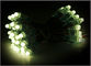 El pixel llevó decoraciones ligeras de la Navidad de las muestras de publicidad 5V del RGB 12m m proveedor