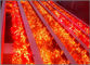 las muestras de publicidad rojas de la luz IP68 del pixel de 5V 9m m llevaron la decoración al aire libre ligera del edificio proveedor