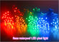 Las iluminaciones del punto de la luz 5V 12V del pixel del LED para las muestras de publicidad al aire libre llevaron rosa blanco amarillo azulverde rojo de las letras de la iluminación proveedor