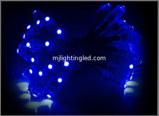 CHINA La iluminación azul del pixel llevó la decoración al aire libre de la Navidad del centelleo del módulo del pixel de las luces de la Navidad de la boda de las luces 5V de la noche LED proveedor