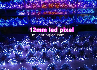 CHINA El CE Rohs Colorfull llevó los pixeles de la lámpara 12m m RGB para hacer publicidad de la pantalla de visualización del RGB de las letras 3D. proveedor