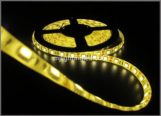 CHINA 5050SMD Luz de cuerda LED 12V Luz LED 60led/Metro Luz de cinta de LED amarilla proveedor