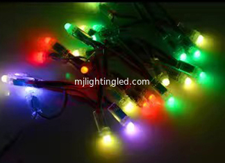 CHINA 12mm 5V Colorido LED Pixeles Luz 2802/2806/2811/1903IC Para la decoración de Navidad proveedor