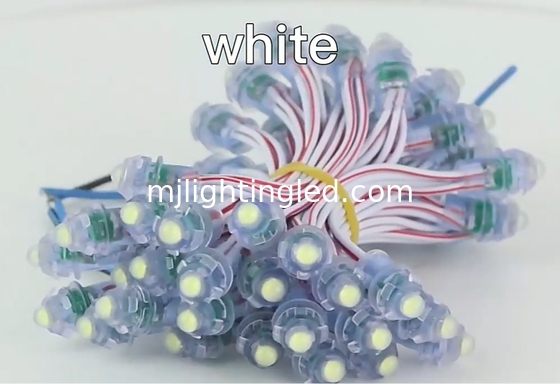 CHINA Luz de píxeles LED IP67 impermeable, módulo de píxeles SMD de 12V para señalización 3D de letras de canal proveedor