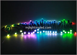 China los pixeles de 12m m 5V RGB LED encienden 2811/1903IC para la decoración de la Navidad proveedor