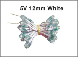 CHINA luz del pixel de 12m m 5V 12v LED para la prenda impermeable constructiva de la decoración proveedor
