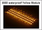La prenda impermeable brillante estupenda 20pcs/lot SMD 5050 el color amarillo IP65 de 3 módulos del LED llevó las lámparas DC12V para la cartelera proveedor
