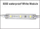 Prenda impermeable estupenda IP65 DC12V de la lámpara de la luz del módulo DC12V 3leds del brillo 5050 SMD LED para hacer publicidad de luces decorativas proveedor