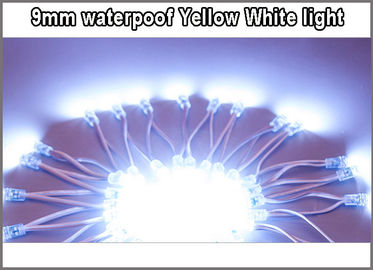 el nodo llevado 50node del pixel de la iluminación del módulo una entrada de la secuencia IP66 DC5V llevó las luces del pixel para el color del blanco de la muestra de las letras proveedor