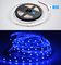 Lámpara de luz LED cinta de luz 3528 60LED/ Meter DC12V luz LED de color azul para la decoración del hogar lámpara proveedor