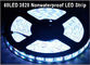 5M 60Leds/M 3528 SMD Luz blanca flexible LED de cinta lámparas de decoración de fiesta proveedor