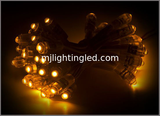 RGB DC5V 12mm RGB Led Module String Impermeable IP68 para cambiar de color Carta de canal proveedor