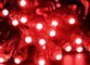 50 pcs/Lot DC5V 12mm RED Modulo Led Cuerdas Inodoro Digital RED IP68 LED Luz de píxeles Decoración navideña proveedor