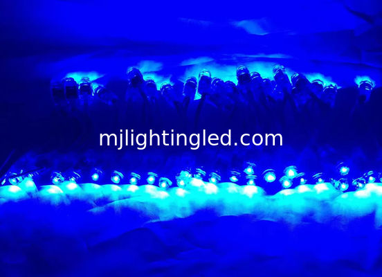 Módulo de 9 mm LED Pixels Cadena de Luz Color Azul IP68 5V Luces Decorativas para Vacaciones, Navidad y Festivales proveedor