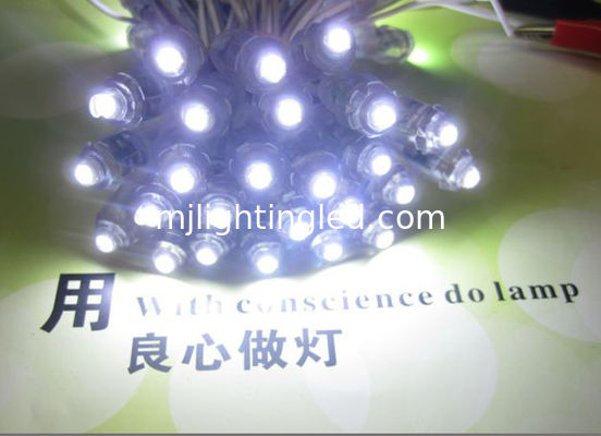 Cadena de píxeles LED de luz blanca de 9 mm para letreros luminosos proveedor