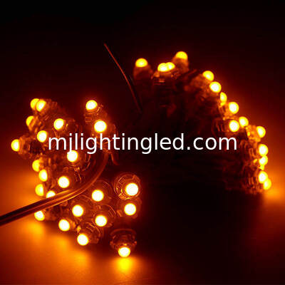 Las iluminaciones del punto de la luz 5V 12V del pixel del LED para las muestras de publicidad al aire libre llevaron rosa blanco amarillo azulverde rojo de las letras de la iluminación proveedor