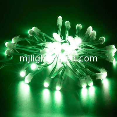 Las iluminaciones del punto de la luz 5V 12V del pixel del LED para las muestras de publicidad al aire libre llevaron rosa blanco amarillo azulverde rojo de las letras de la iluminación proveedor