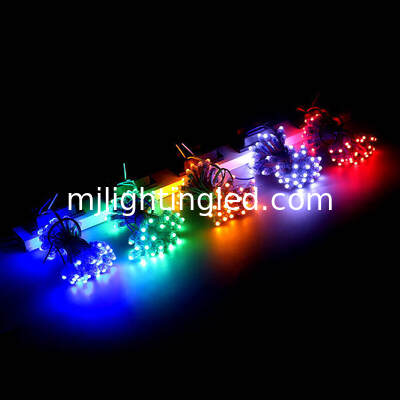 Las iluminaciones del punto de la luz 5V 12V del pixel del LED para las muestras de publicidad al aire libre llevaron rosa blanco amarillo azulverde rojo de las letras de la iluminación proveedor