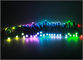 los pixeles de 12m m 5V RGB LED encienden 2811/1903IC para la decoración de la Navidad proveedor