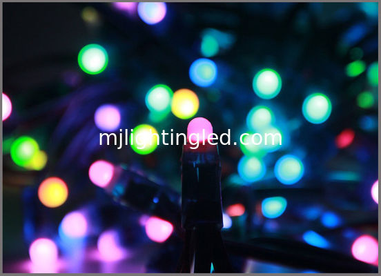 los pixeles a todo color 5V de 12m m 9m m encienden la decoración ligera colorcharging de la Navidad del punto 2811/1903IC proveedor