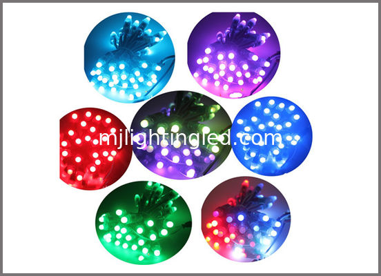 los pixeles a todo color 5V de 12m m 9m m encienden la decoración ligera colorcharging de la Navidad del punto 2811/1903IC proveedor