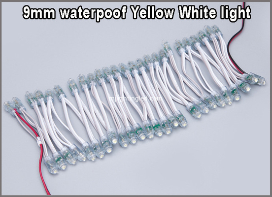 Prenda impermeable de la INMERSIÓN LED del diámetro 9m m del color de la luz DC5V del módulo del pixel de la lámpara LED de la cadena de la letra de la publicidad del LED sola proveedor