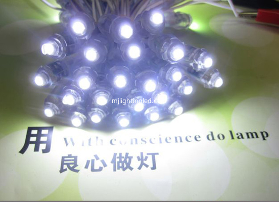 Prenda impermeable de la INMERSIÓN LED del diámetro 9m m del color de la luz DC5V del módulo del pixel de la lámpara LED de la cadena de la letra de la publicidad del LED sola proveedor